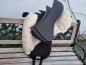 Preview: Barefoot® 'Ride-On-Pad' Physio nature - GR S  REDUZIERT